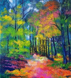 •Colour Trees Collection•